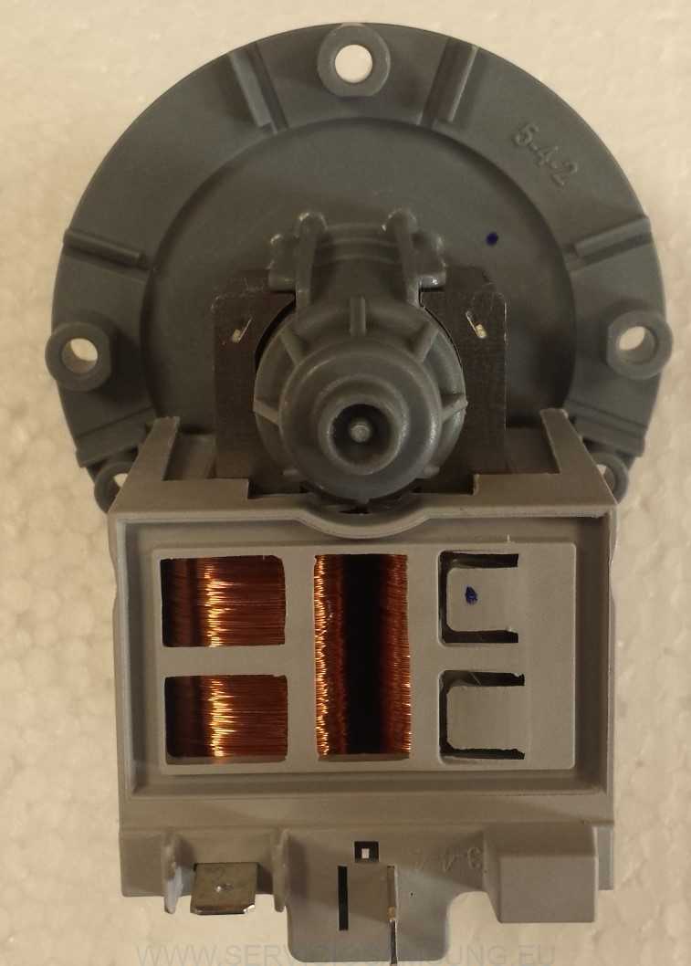 DC31-00030A Motor bomba de desagüe lavadora Samsung - Imagen 3